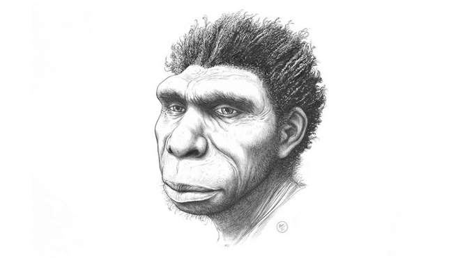 Homo bodoensis