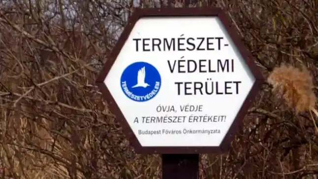 természetvédelmi terület